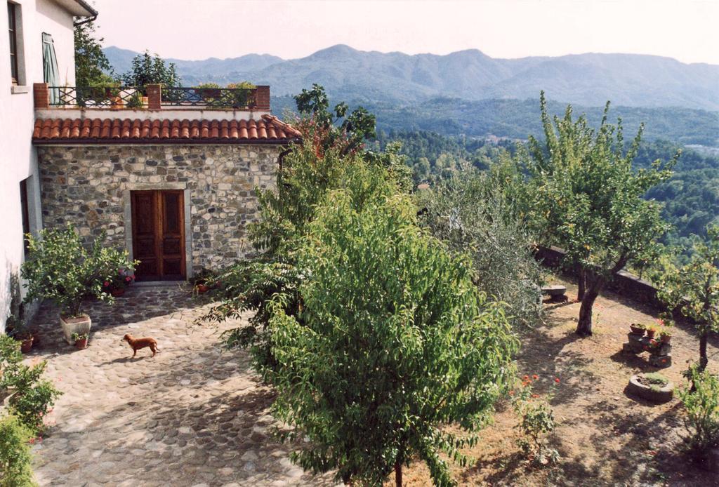 Forni Rosaia Vila Olivola  Exterior foto